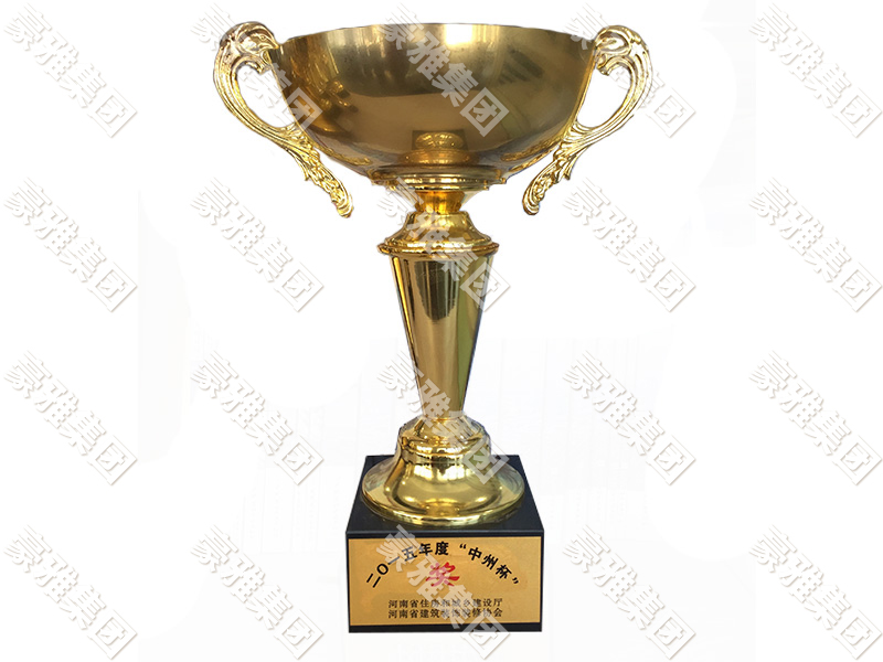 2015年度中州杯.jpg