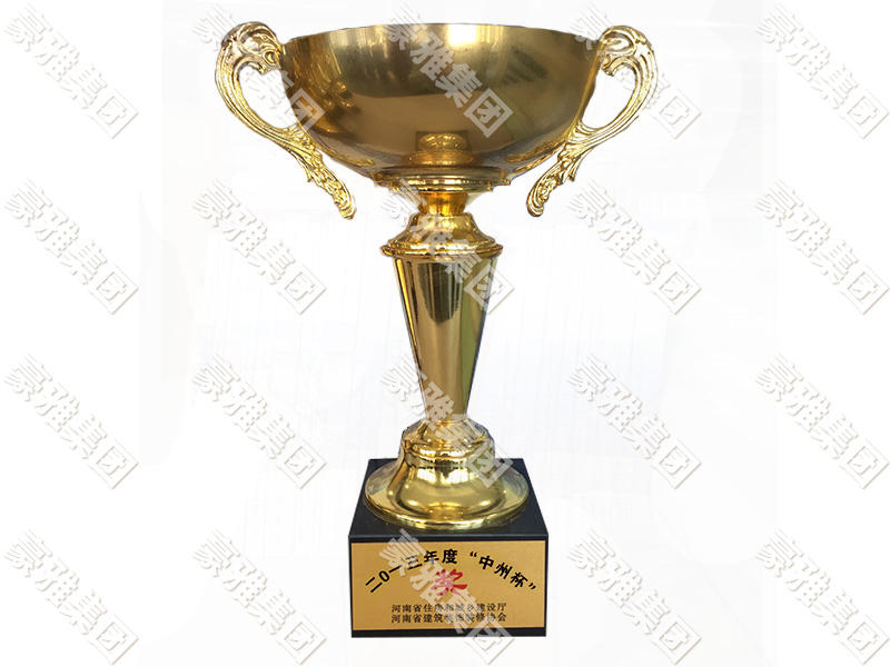 2013年度中州杯.jpg